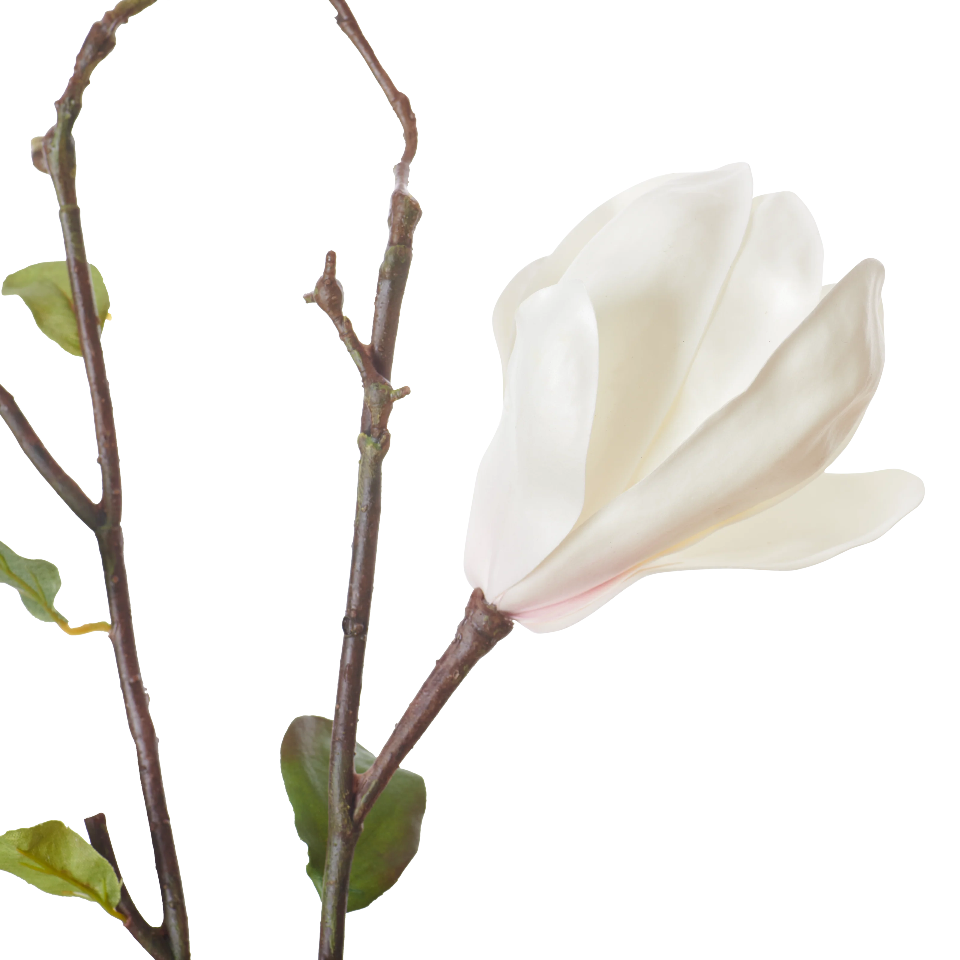 Magnolia Branch White - Image 8