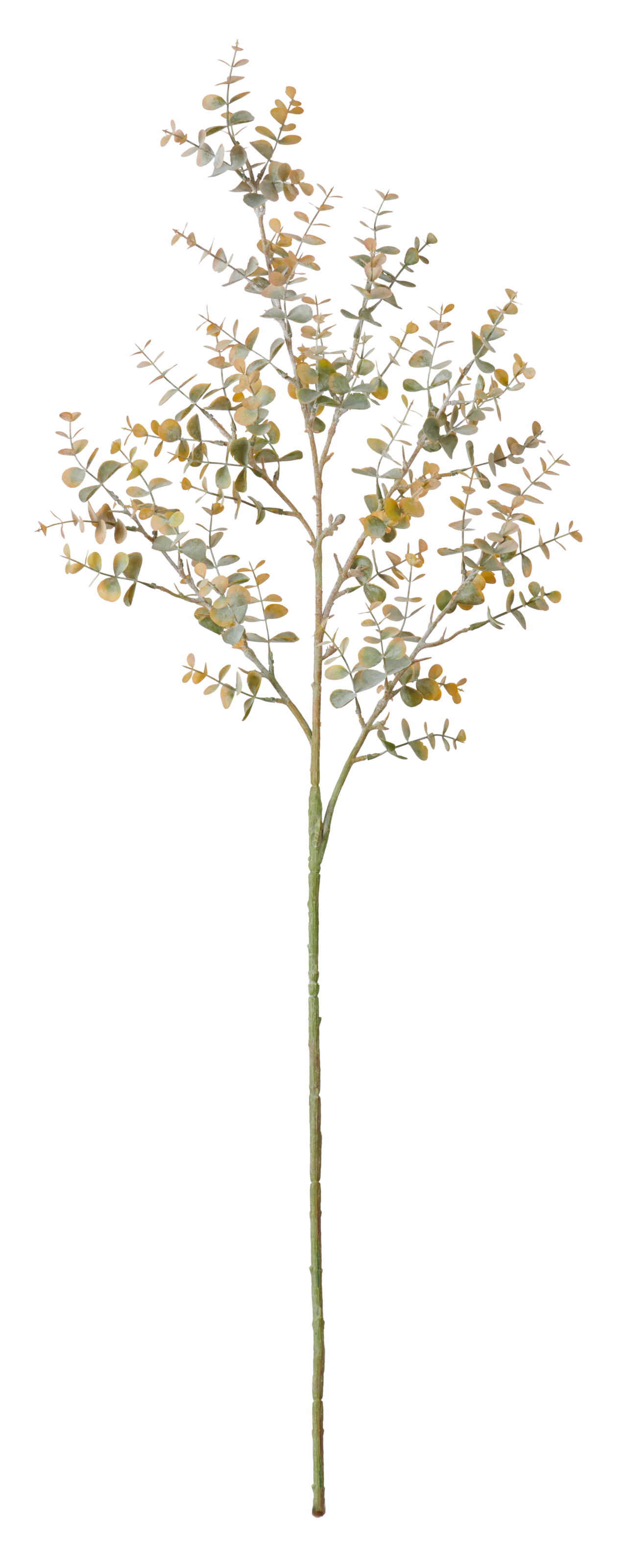 Mini Eucalyptus Spray - Russet
