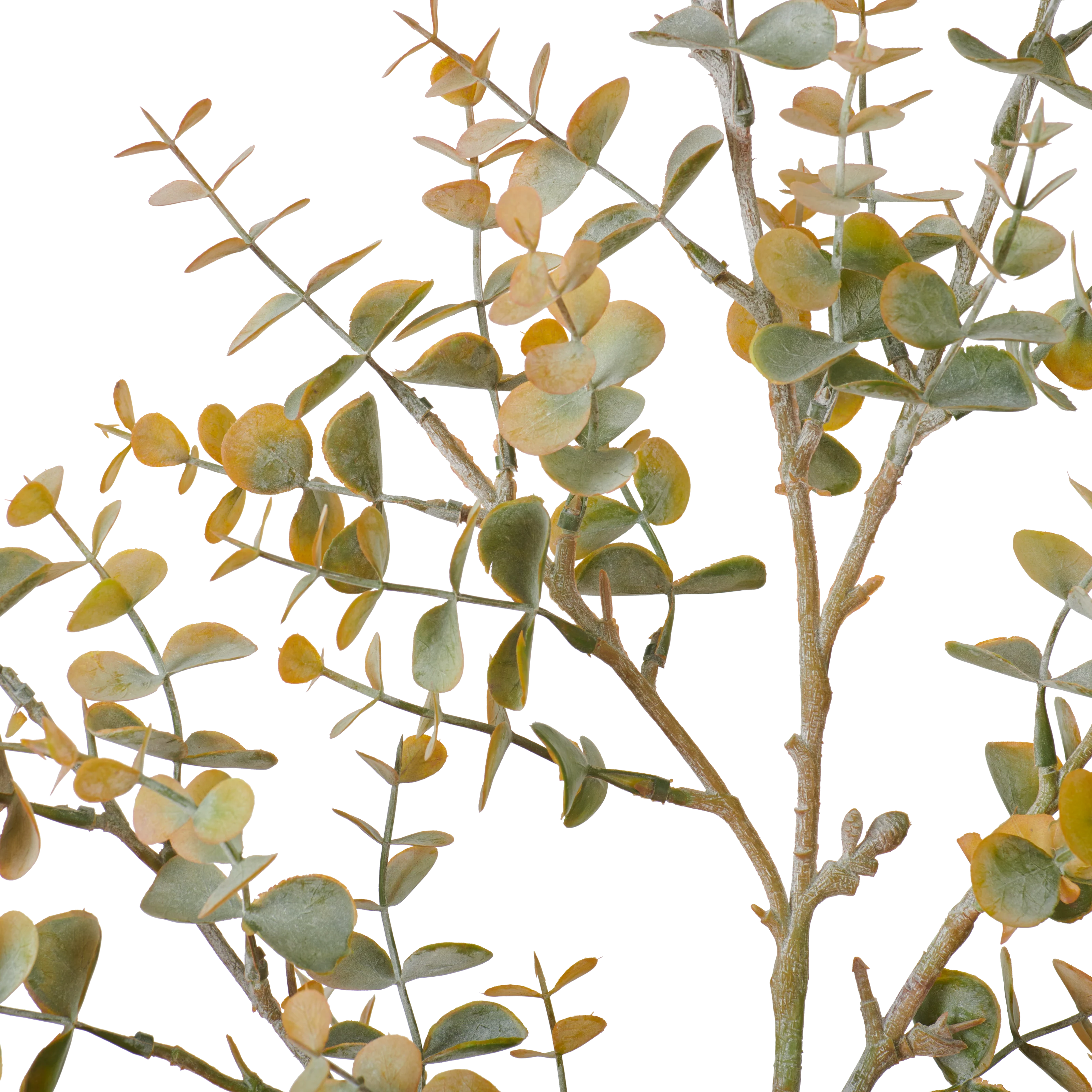 Mini Eucalyptus Spray - Russet - Image 2