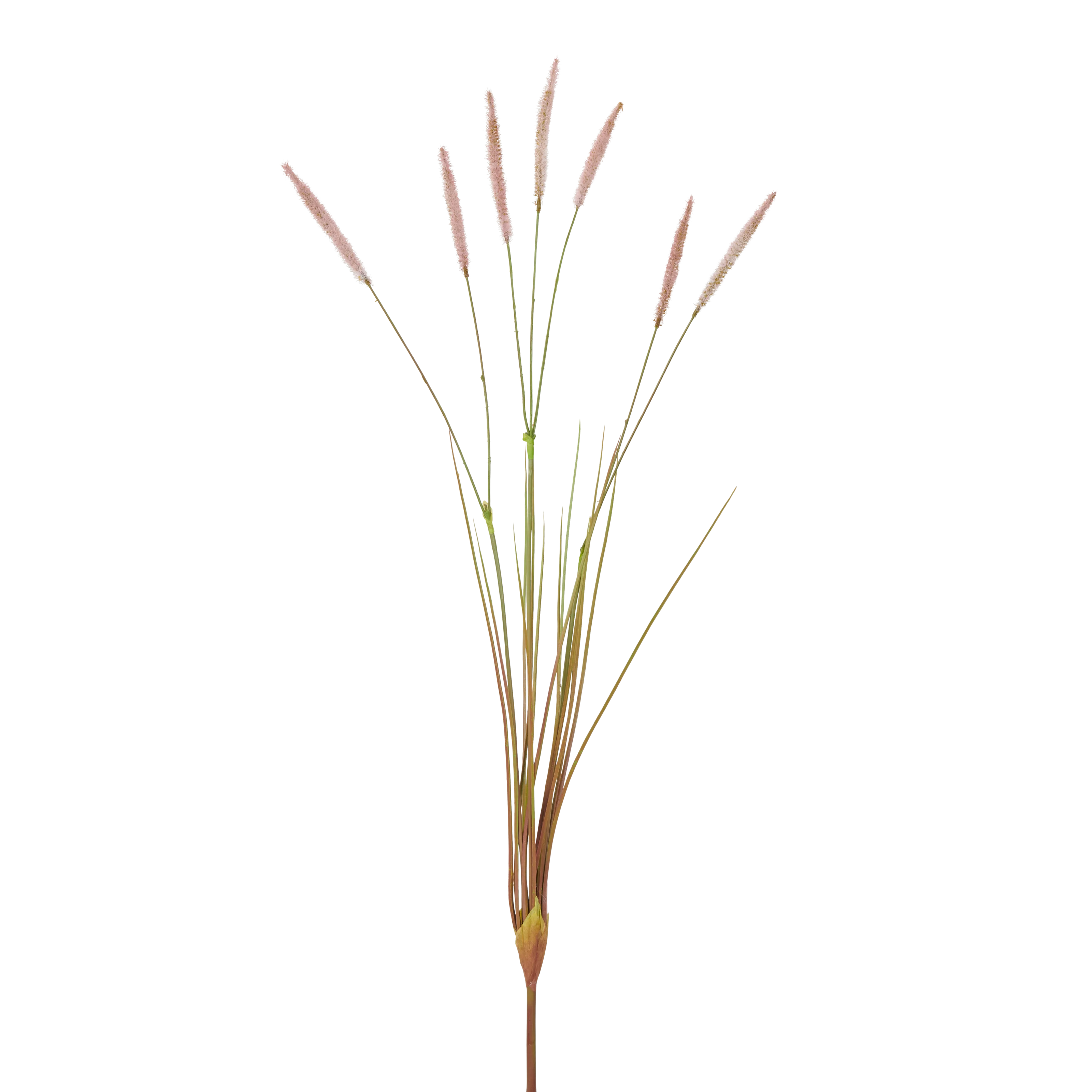 Wild Stem - Pink